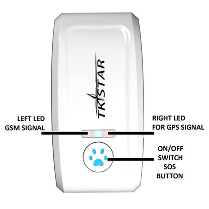 Pettrack Gps: The Ultimate Locator Device For Your Beloved Pets