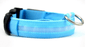 Luminous Glow-In-The-Dark Led Pet Collar: The Ultimate Night Safety Accessory For Dogs And Cats