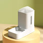 Automatic Pet Feeder With Hygienic Drinking System