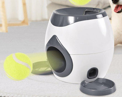 Automatic Pet Training And Feeding System